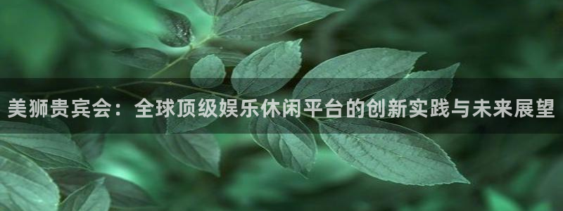 卧龙娱乐f凯捷注册：美狮贵宾会：全球顶级娱乐休闲平台的创新实践与未来展望