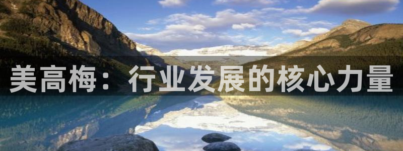 卧龙娱乐凯捷开号链接：美高梅：行业发展的核心力量
