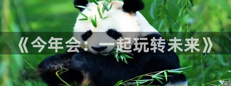 www.卧龙娱乐体育.com：《今年会：一起玩转未来》