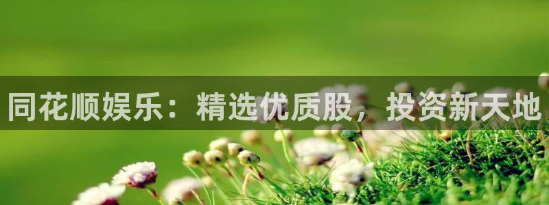 成都卧龙娱乐电子有限公司：同花顺娱乐：精选优质股，投资新天地