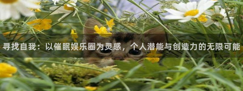 卧龙娱乐体育官网入口登录：寻找自我：以催眠娱乐圈为灵感，个人潜能与创造力的无限可