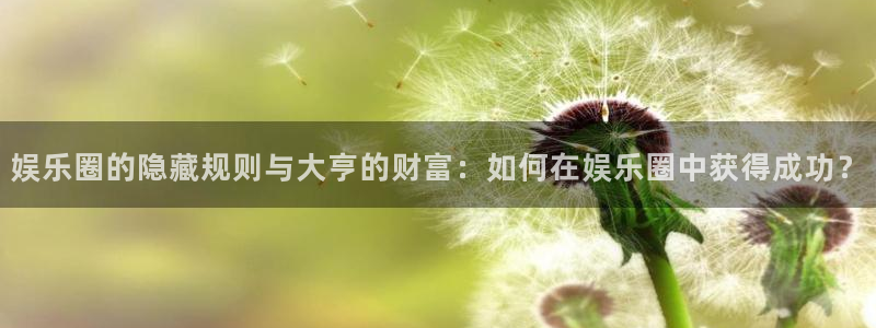 卧龙娱乐3登陆：娱乐圈的隐藏规则与大亨的财富：如何在娱乐圈中获得成功？
