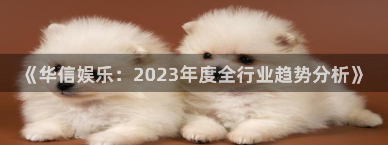 卧龙娱乐体育1招商：《华信娱乐：2023年度全行业趋势分析》