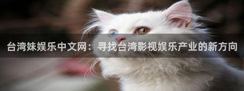 卧龙娱乐2平台登录：台湾妹娱乐中文网：寻找台湾影视娱乐产业的新方向