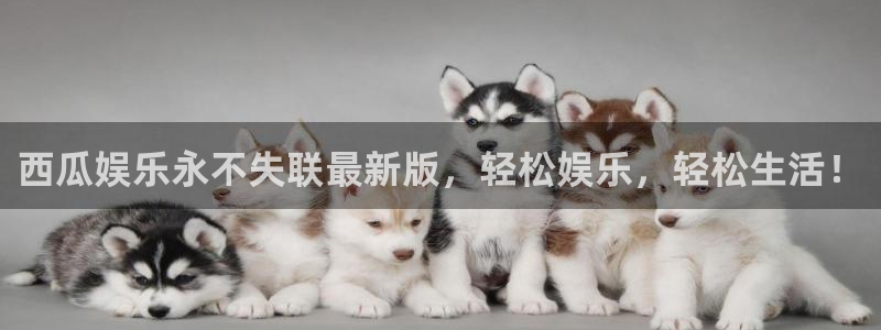 卧龙娱乐登陆：西瓜娱乐永不失联最新版，轻松娱乐，轻松生活！