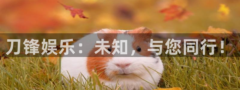 卧龙娱乐：刀锋娱乐：未知，与您同行！