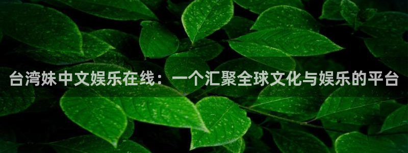 卧龙娱乐vk：台湾妹中文娱乐在线：一个汇聚全球文化与娱乐的平台