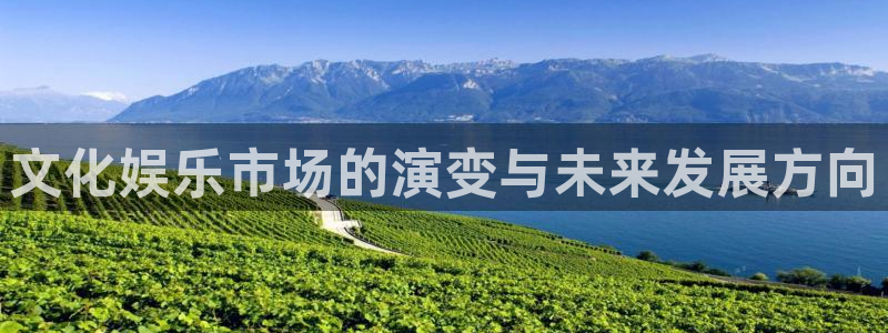 卧龙娱乐平台：文化娱乐市场的演变与未来发展方向