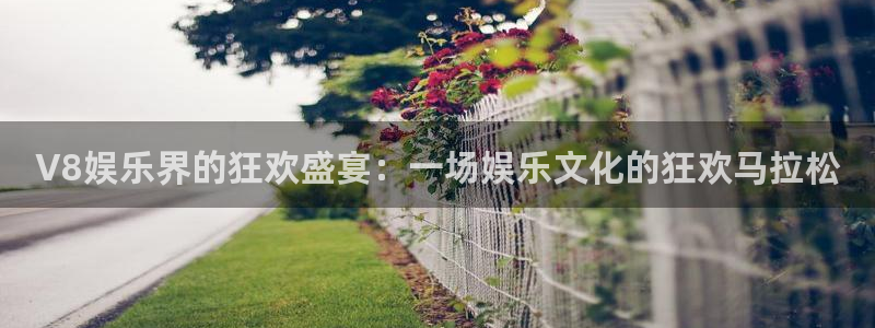 卧龙娱乐4开户：V8娱乐界的狂欢盛宴：一场娱乐文化的狂欢马拉松
