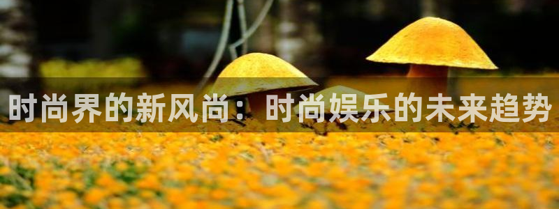 卧龙娱乐3代理：时尚界的新风尚：时尚娱乐的未来趋势