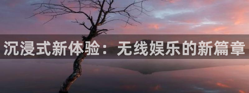 卧龙娱乐平台主管：沉浸式新体验：无线娱乐的新篇章