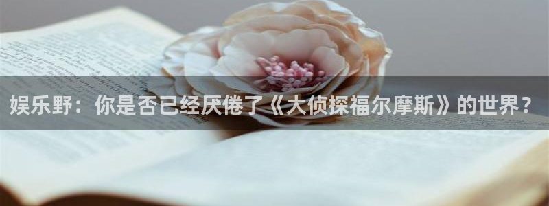 卧龙娱乐体育代理：娱乐野：你是否已经厌倦了《大侦探福尔摩斯》的世界？