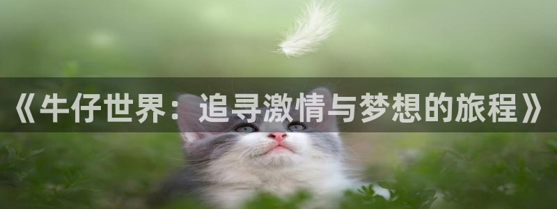 卧龙娱乐kgame：《牛仔世界：追寻激情与梦想的旅程》