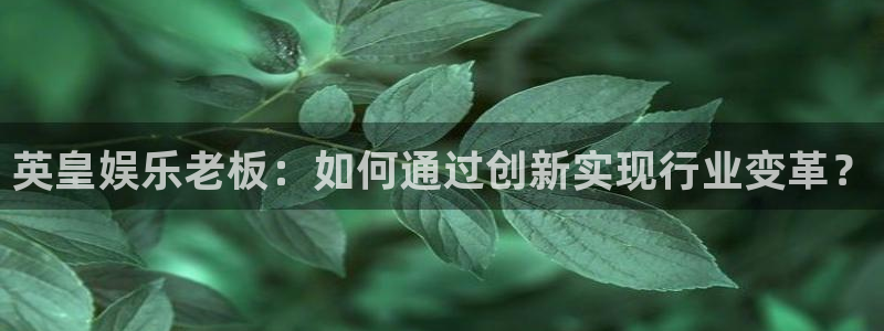 卧龙娱乐3官网：英皇娱乐老板：如何通过创新实现行业变革？