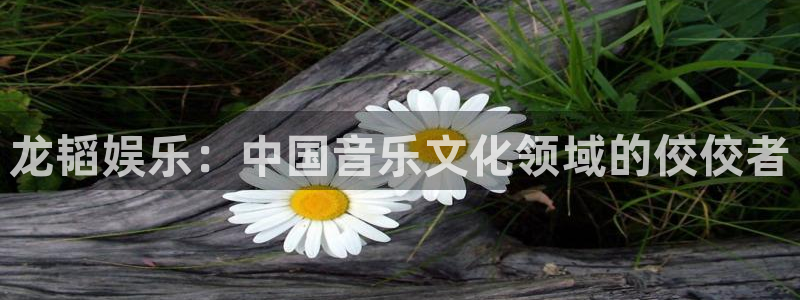 卧龙娱乐3登录：龙韬娱乐：中国音乐文化领域的佼佼者