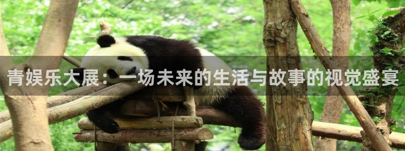 卧龙娱乐官网入口：青娱乐大展：一场未来的生活与故事的视觉盛宴