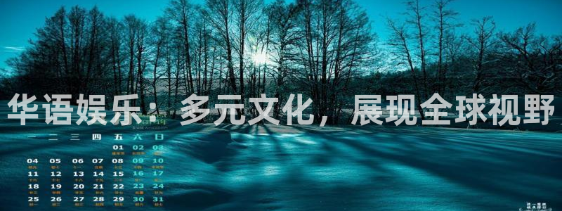 卧龙娱乐平台注册入口：华语娱乐：多元文化，展现全球视野
