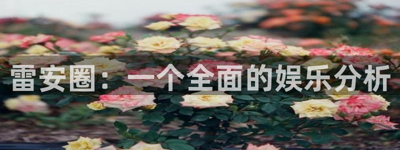 卧龙娱乐3登陆：雷安圈：一个全面的娱乐分析