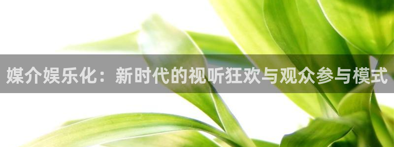 卧龙娱乐体育在线注册：媒介娱乐化：新时代的视听狂欢与观众参与模式