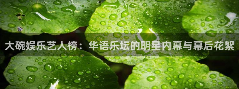 卧龙娱乐3平台注册：大碗娱乐艺人榜：华语乐坛的明星内幕与幕后花絮