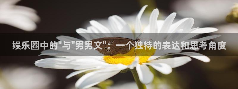 卧龙娱乐体育：娱乐圈中的\