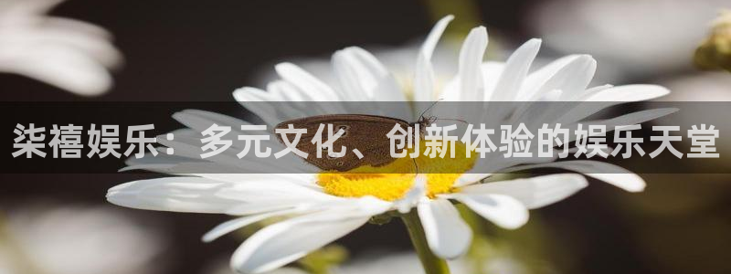 卧龙娱乐2平台登录：柒禧娱乐：多元文化、创新体验的娱乐天堂